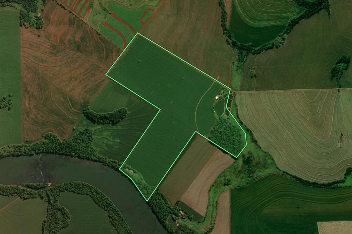 Imagem de satélite do imóvel rural em Kaloré (PR), com o contorno declarado no CAR desenhado por cima.