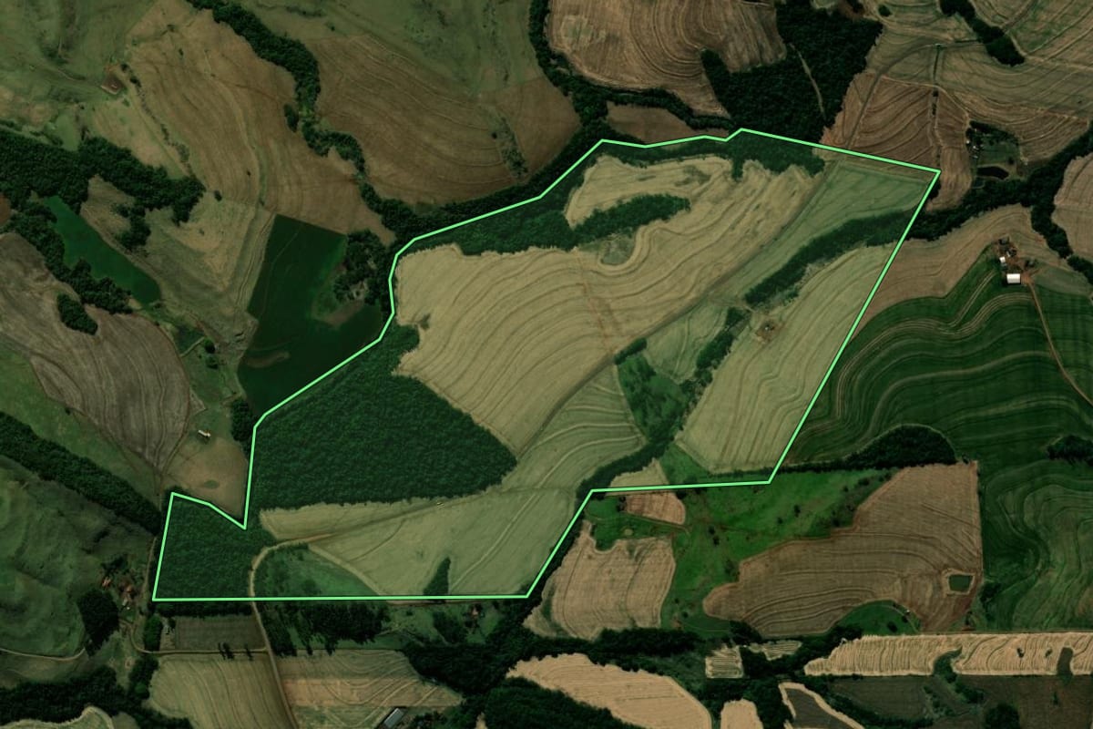 Imagem de satélite do imóvel rural em Kaloré (PR), com o contorno declarado no CAR desenhado por cima.