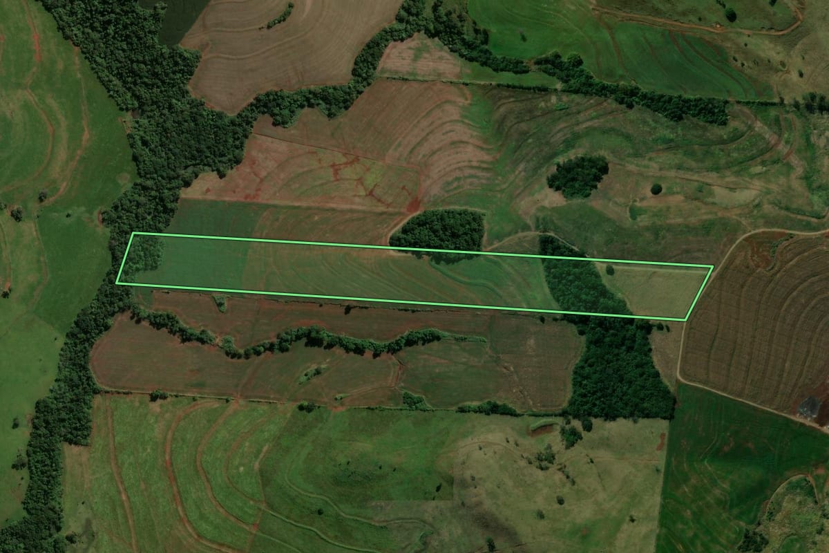 Imagem de satélite do imóvel rural em Kaloré (PR), com o contorno declarado no CAR desenhado por cima.