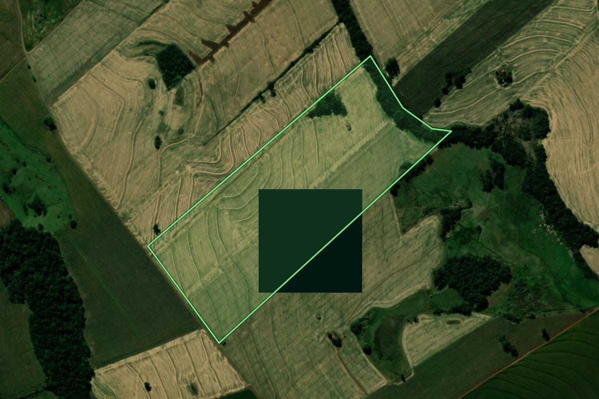 Imagem de satélite do imóvel rural em Kaloré (PR), com o contorno declarado no CAR desenhado por cima.