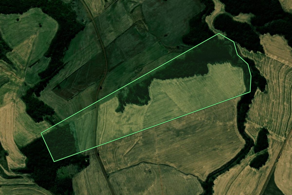 Imagem de satélite do imóvel rural em Kaloré (PR), com o contorno declarado no CAR desenhado por cima.