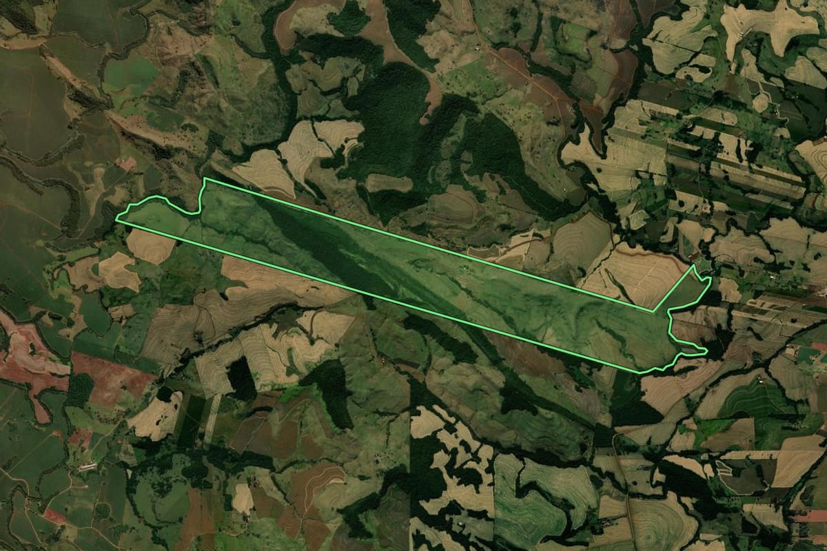 Imagem de satélite do imóvel rural em Kaloré (PR), com o contorno declarado no CAR desenhado por cima.