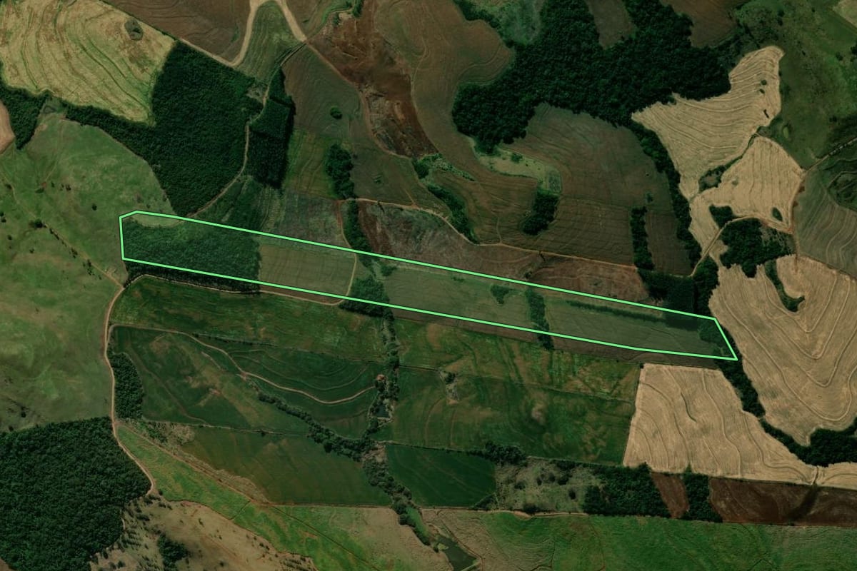 Imagem de satélite do imóvel rural em Kaloré (PR), com o contorno declarado no CAR desenhado por cima.