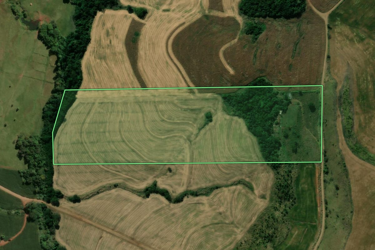 Imagem de satélite do imóvel rural em Kaloré (PR), com o contorno declarado no CAR desenhado por cima.