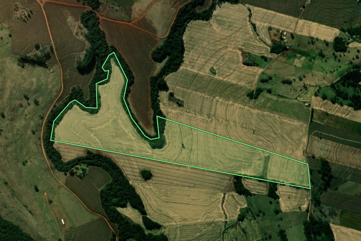 Imagem de satélite do imóvel rural em Kaloré (PR), com o contorno declarado no CAR desenhado por cima.