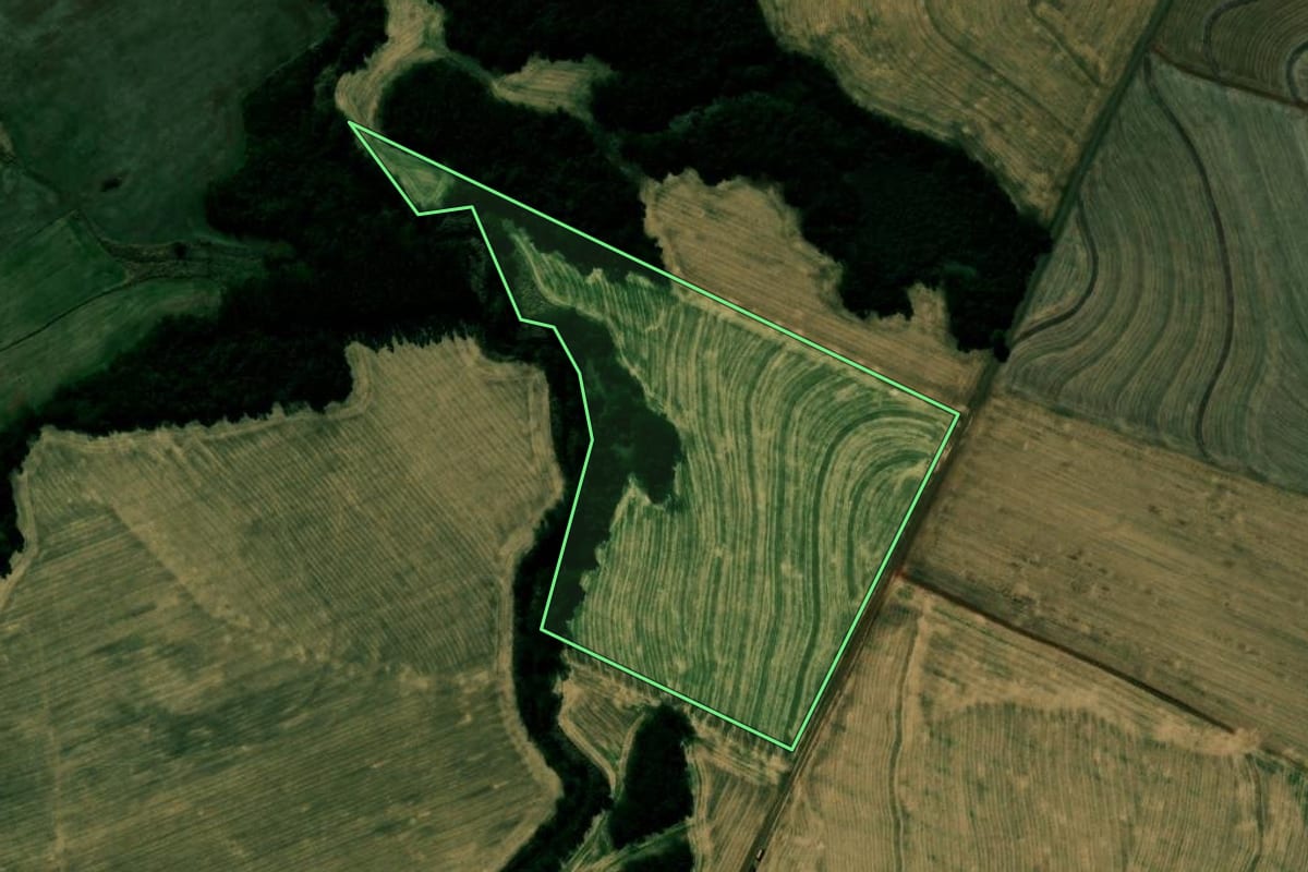 Imagem de satélite do imóvel rural em Kaloré (PR), com o contorno declarado no CAR desenhado por cima.