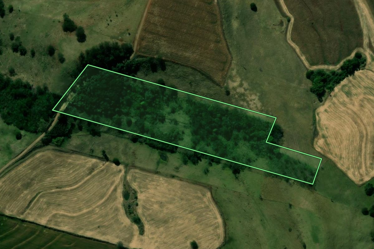 Imagem de satélite do imóvel rural em Kaloré (PR), com o contorno declarado no CAR desenhado por cima.