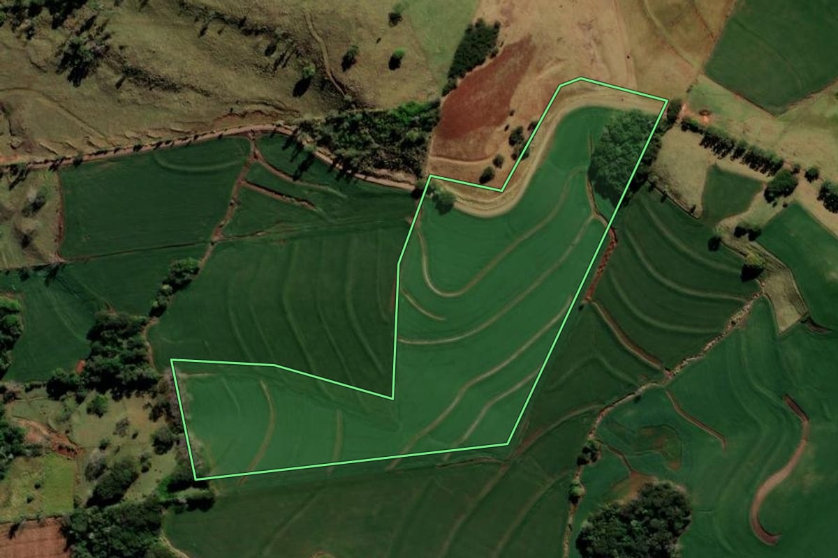 Imagem de satélite do imóvel rural em Kaloré (PR), com o contorno declarado no CAR desenhado por cima.