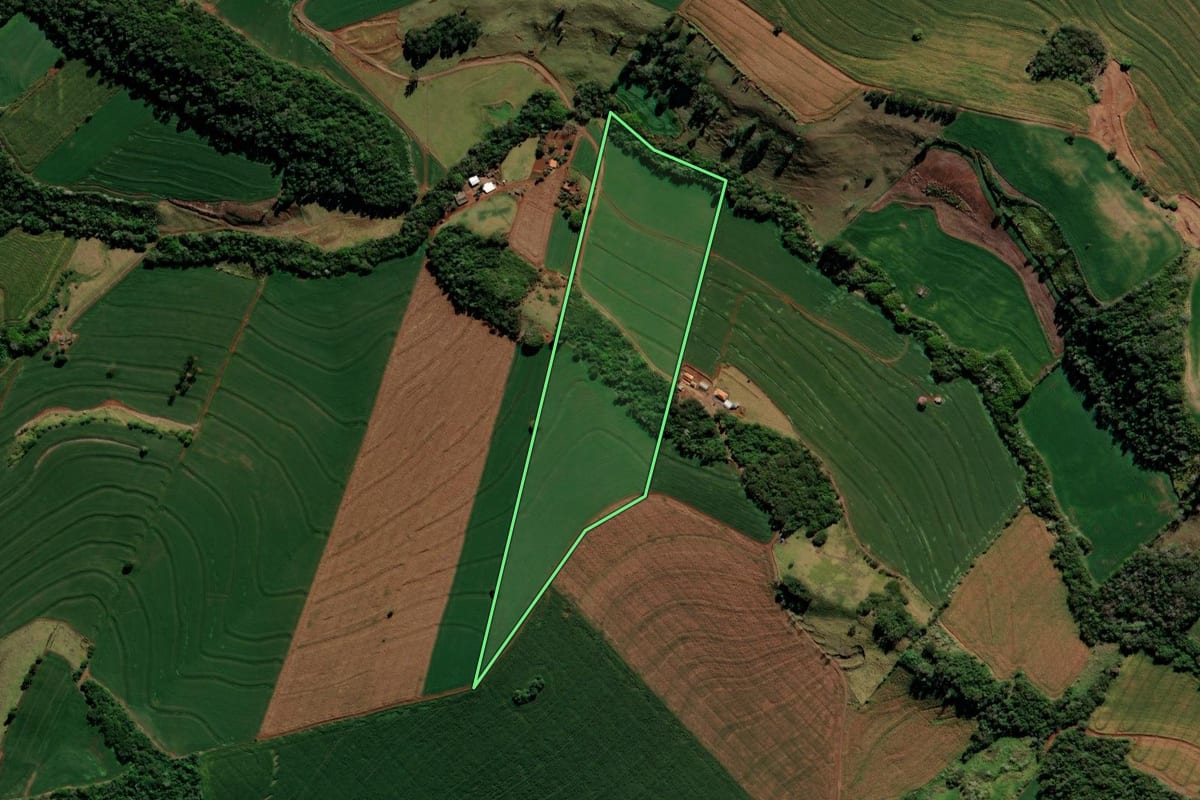 Imagem de satélite do imóvel rural em Kaloré (PR), com o contorno declarado no CAR desenhado por cima.