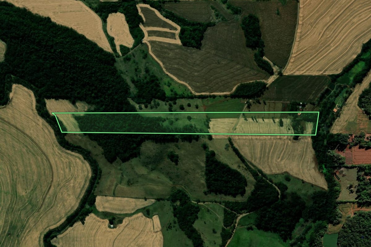 Imagem de satélite do imóvel rural em Kaloré (PR), com o contorno declarado no CAR desenhado por cima.