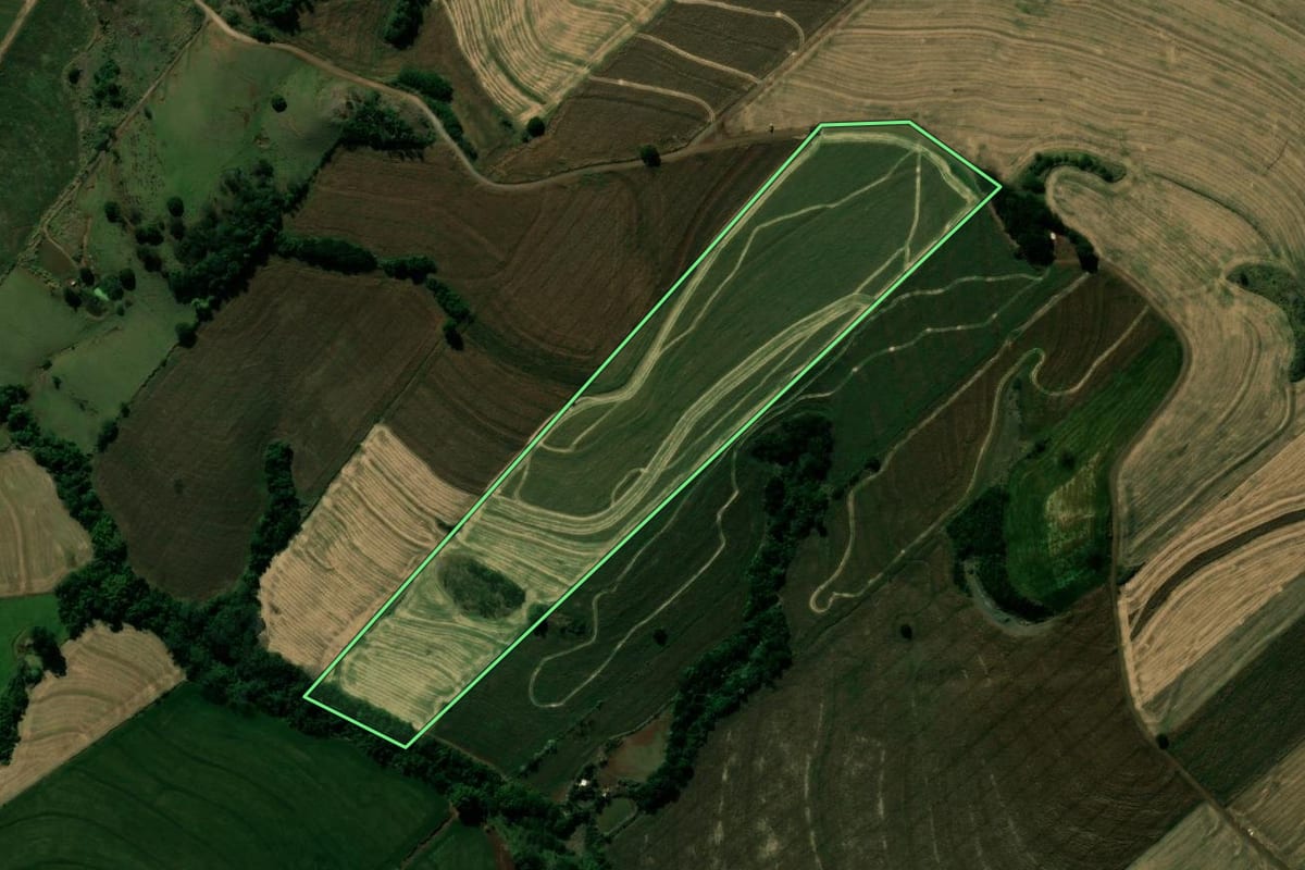 Imagem de satélite do imóvel rural em Kaloré (PR), com o contorno declarado no CAR desenhado por cima.