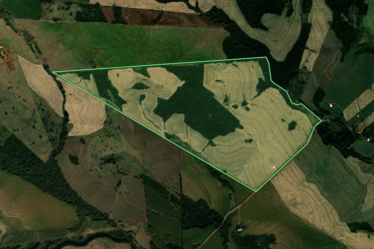 Imagem de satélite do imóvel rural em Kaloré (PR), com o contorno declarado no CAR desenhado por cima.
