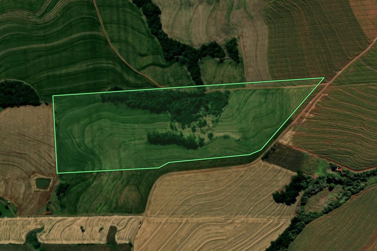 Imagem de satélite do imóvel rural em Kaloré (PR), com o contorno declarado no CAR desenhado por cima.