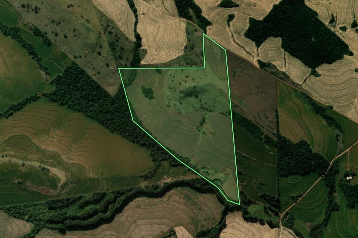 Imagem de satélite do imóvel rural em Kaloré (PR), com o contorno declarado no CAR desenhado por cima.