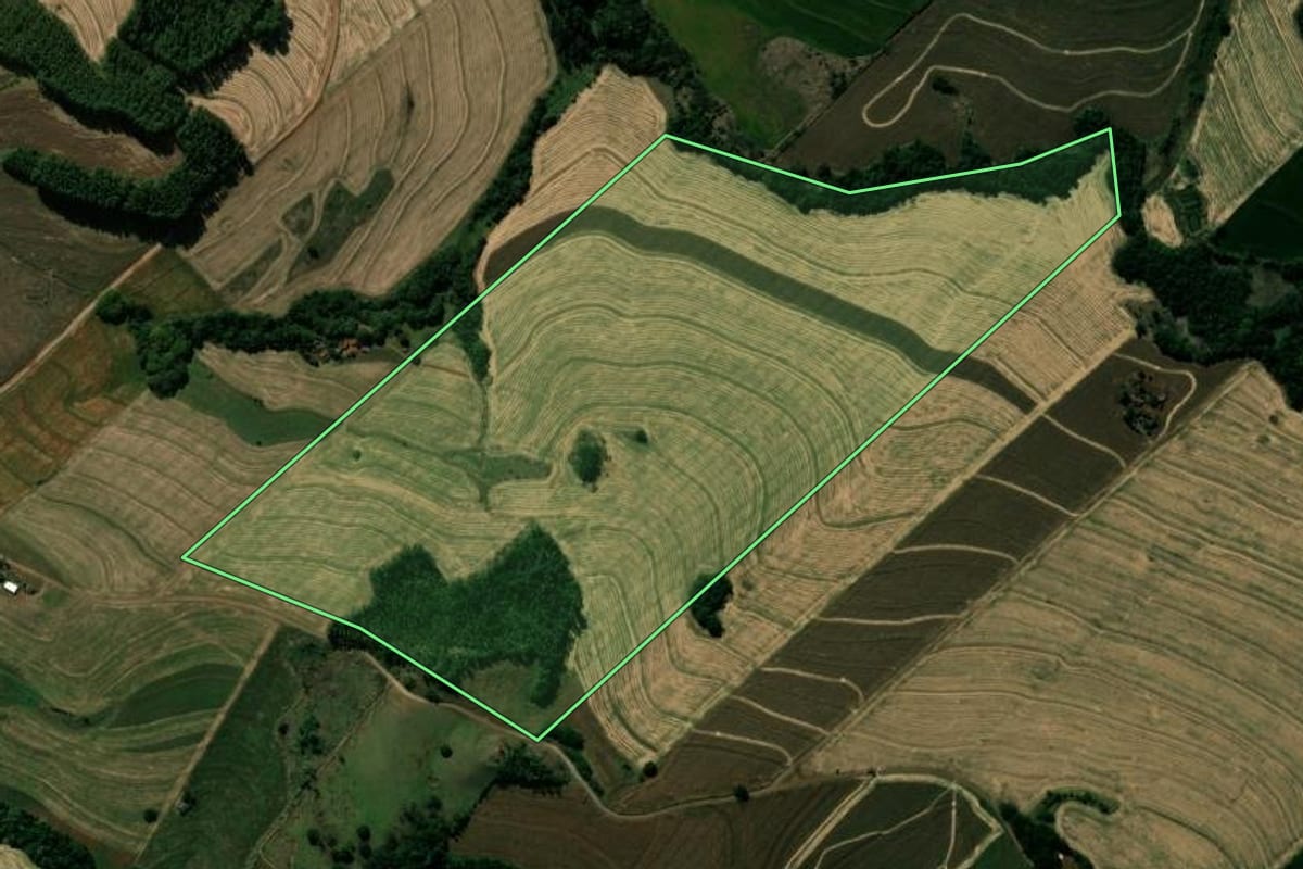 Imagem de satélite do imóvel rural em Kaloré (PR), com o contorno declarado no CAR desenhado por cima.
