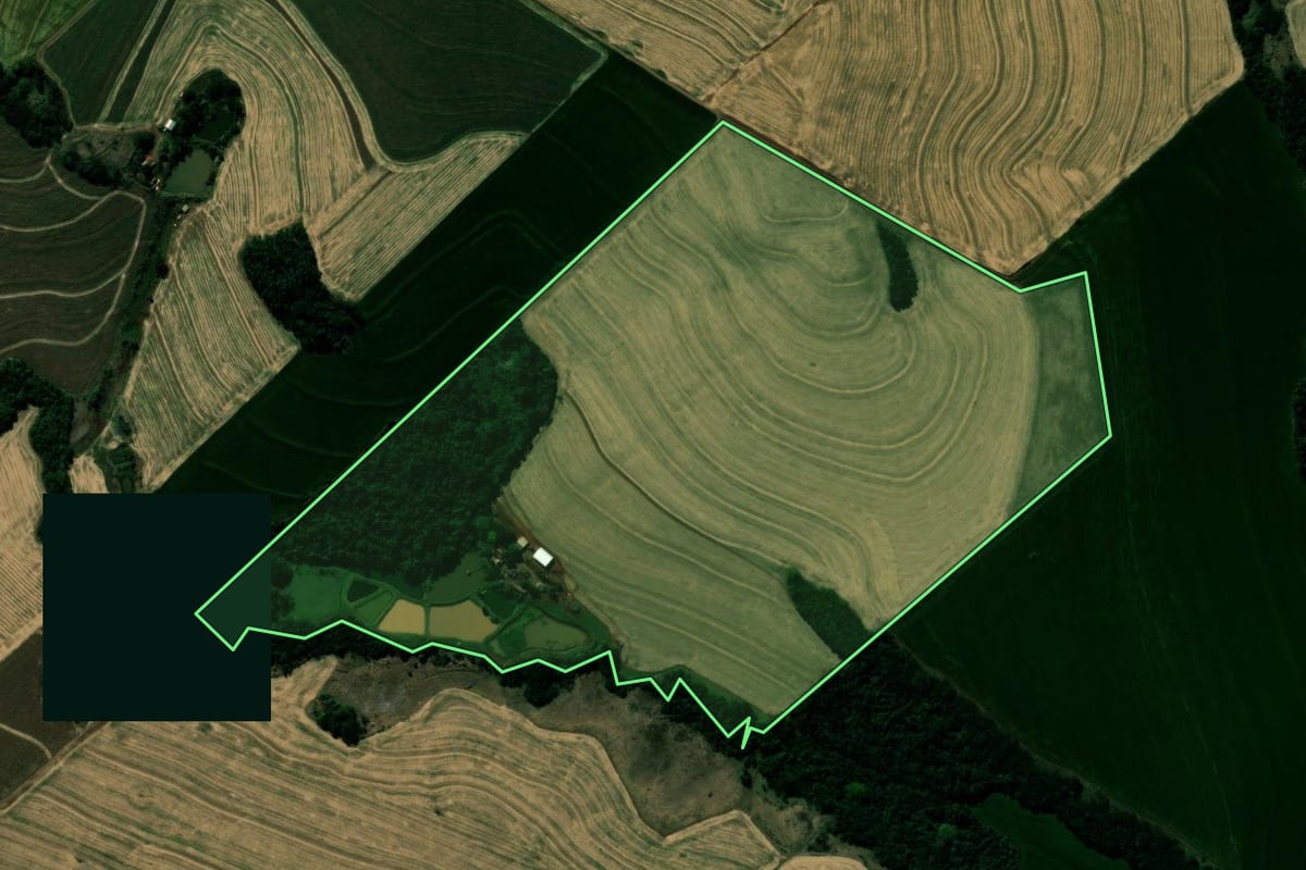 Imagem de satélite do imóvel rural em Kaloré (PR), com o contorno declarado no CAR desenhado por cima.