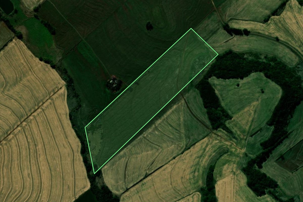 Imagem de satélite do imóvel rural em Kaloré (PR), com o contorno declarado no CAR desenhado por cima.