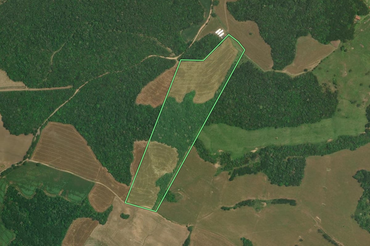 Imagem de satélite do imóvel rural em Lapa (PR), com o contorno declarado no CAR desenhado por cima.