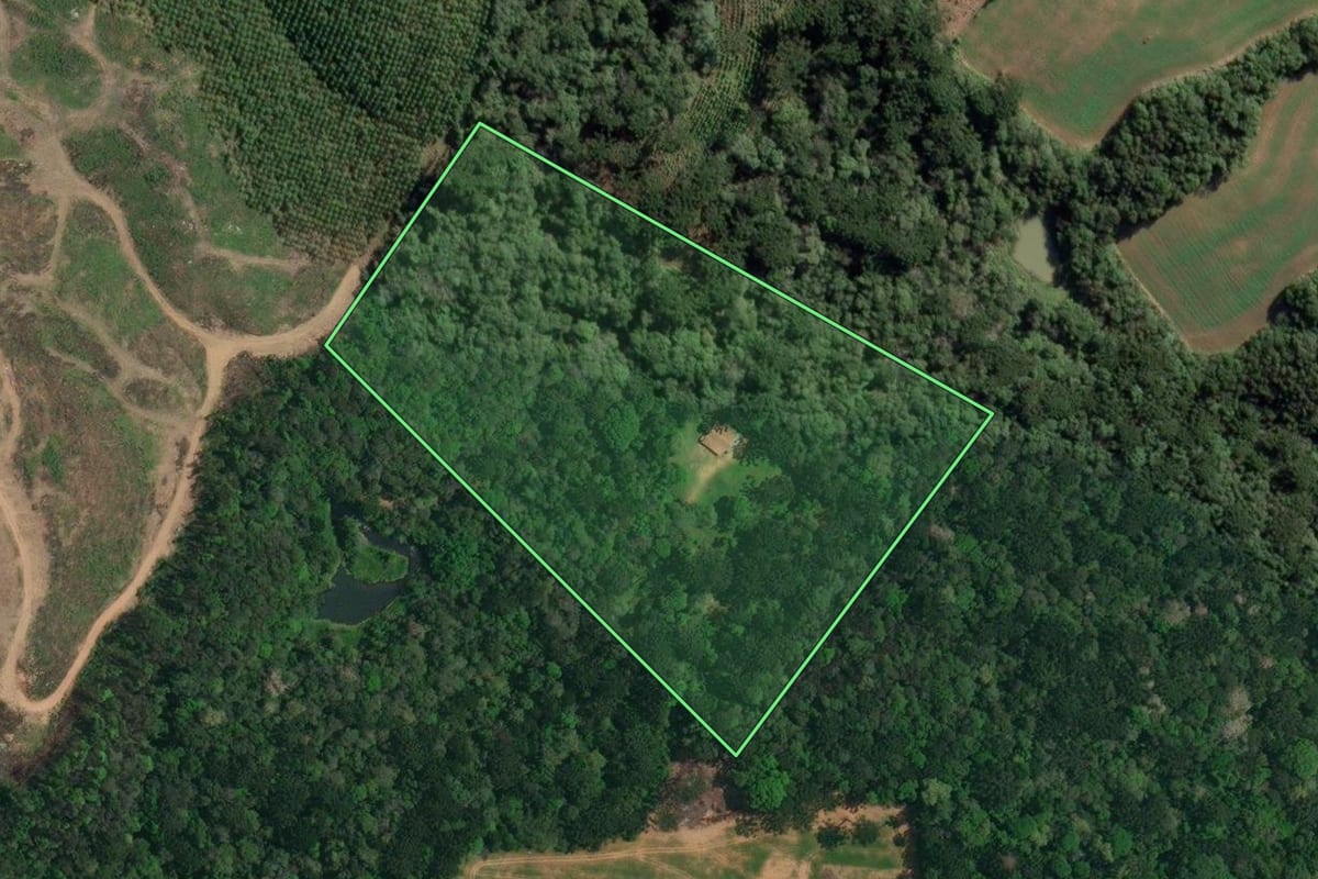 Imagem de satélite do imóvel rural em Lapa (PR), com o contorno declarado no CAR desenhado por cima.