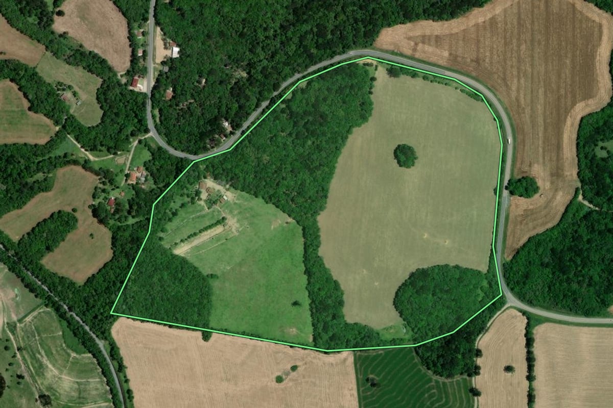 Imagem de satélite do imóvel rural em Lapa (PR), com o contorno declarado no CAR desenhado por cima.