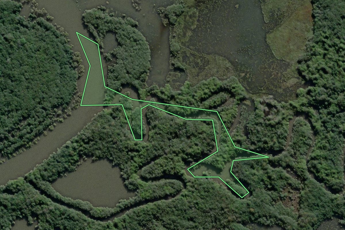 Imagem de satélite do imóvel rural em Lapa (PR), com o contorno declarado no CAR desenhado por cima.