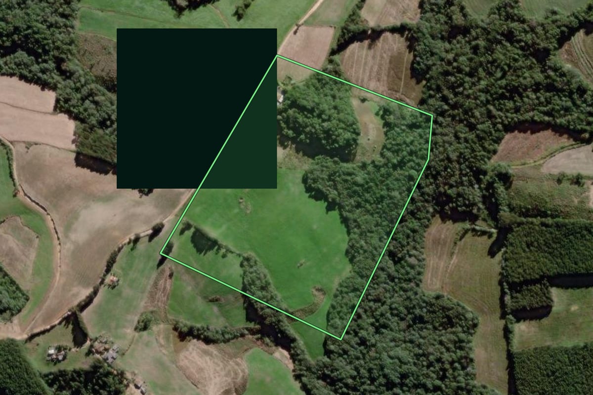 Imagem de satélite do imóvel rural em Lapa (PR), com o contorno declarado no CAR desenhado por cima.