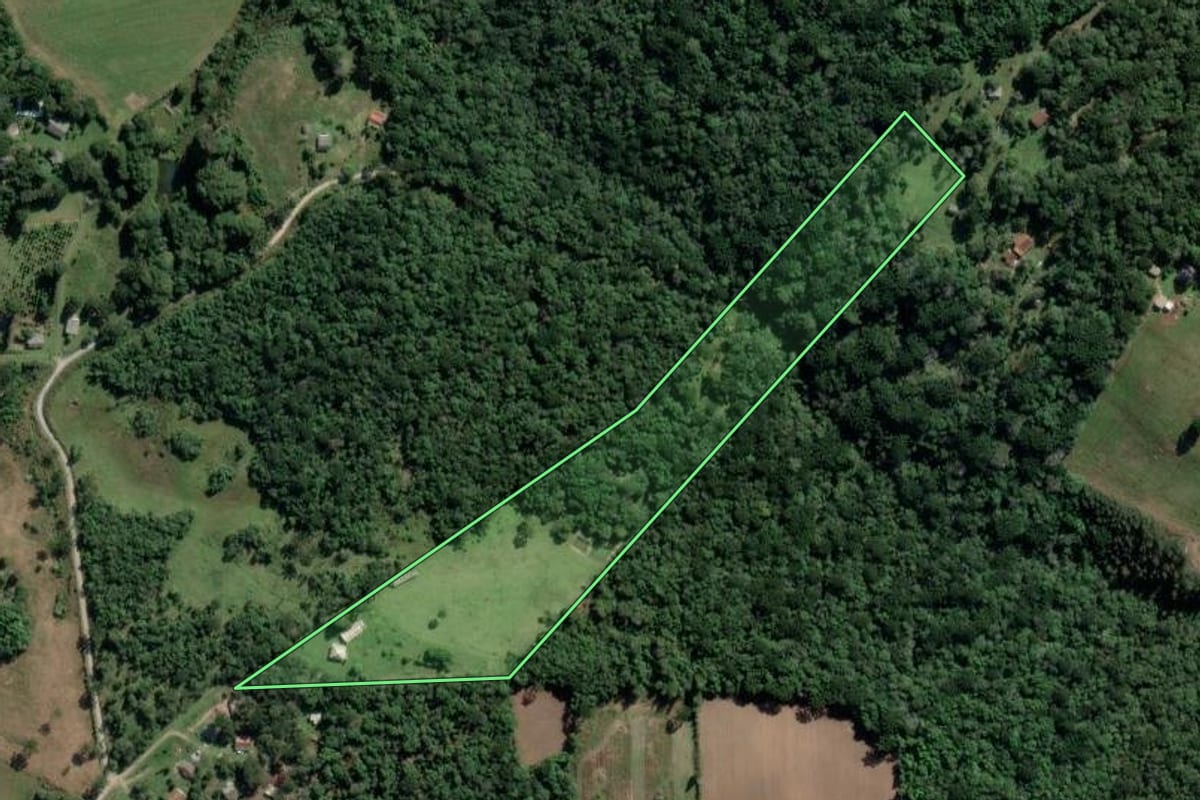 Imagem de satélite do imóvel rural em Lapa (PR), com o contorno declarado no CAR desenhado por cima.