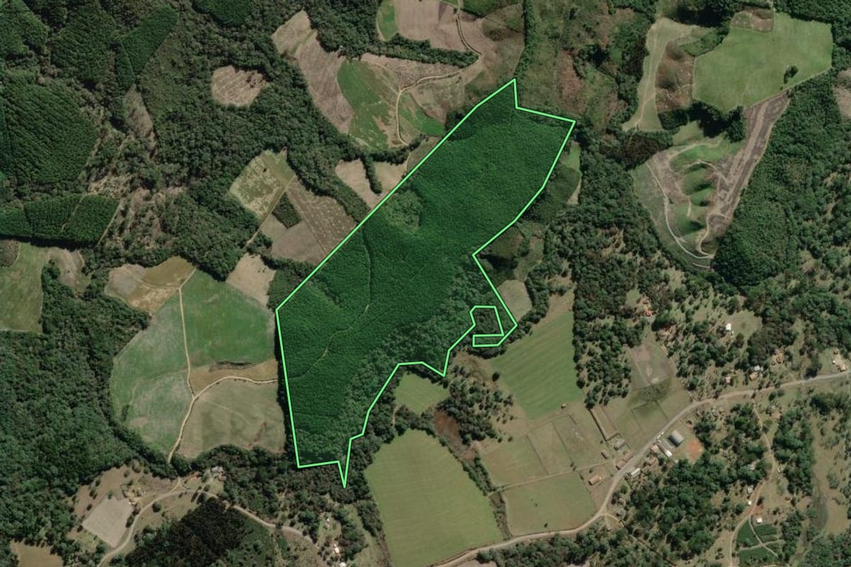 Imagem de satélite do imóvel rural em Lapa (PR), com o contorno declarado no CAR desenhado por cima.