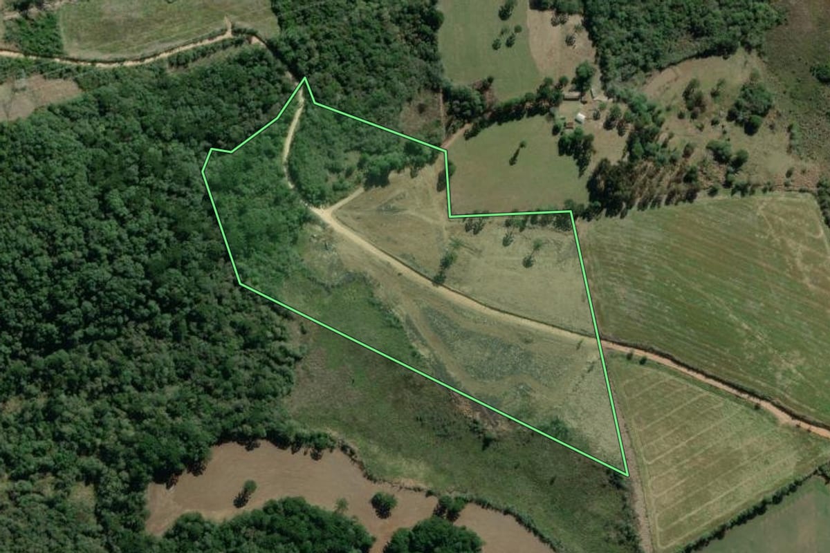 Imagem de satélite do imóvel rural em Lapa (PR), com o contorno declarado no CAR desenhado por cima.