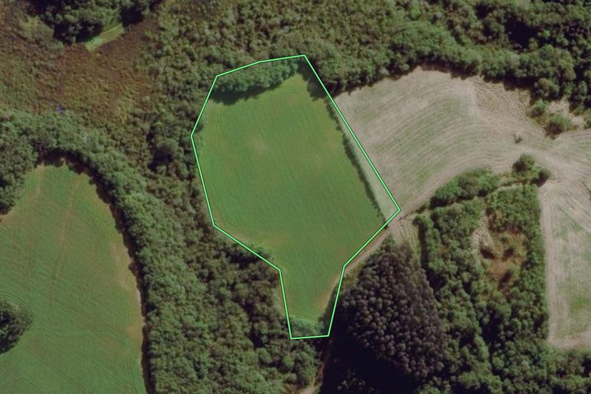Imagem de satélite do imóvel rural em Lapa (PR), com o contorno declarado no CAR desenhado por cima.