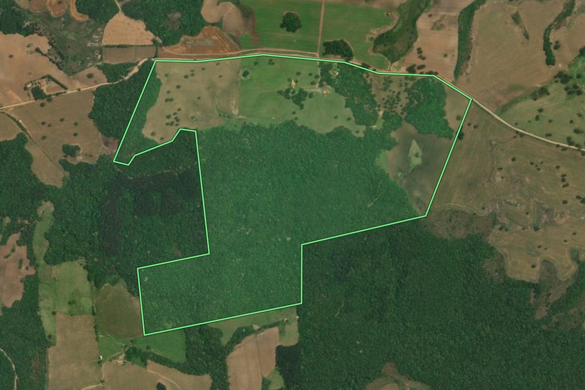 Imagem de satélite do imóvel rural em Lapa (PR), com o contorno declarado no CAR desenhado por cima.