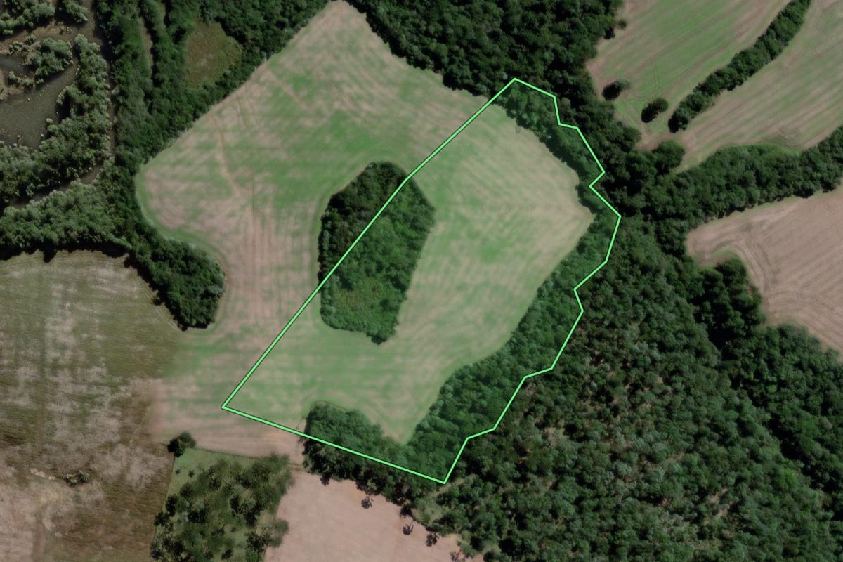 Imagem de satélite do imóvel rural em Lapa (PR), com o contorno declarado no CAR desenhado por cima.