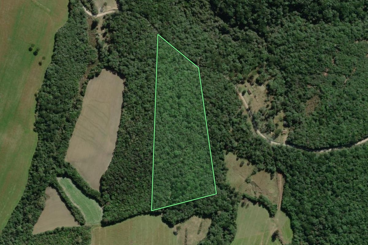 Imagem de satélite do imóvel rural em Lapa (PR), com o contorno declarado no CAR desenhado por cima.