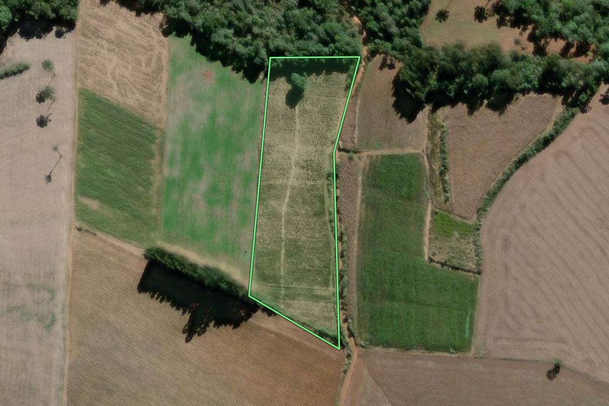 Imagem de satélite do imóvel rural em Lapa (PR), com o contorno declarado no CAR desenhado por cima.