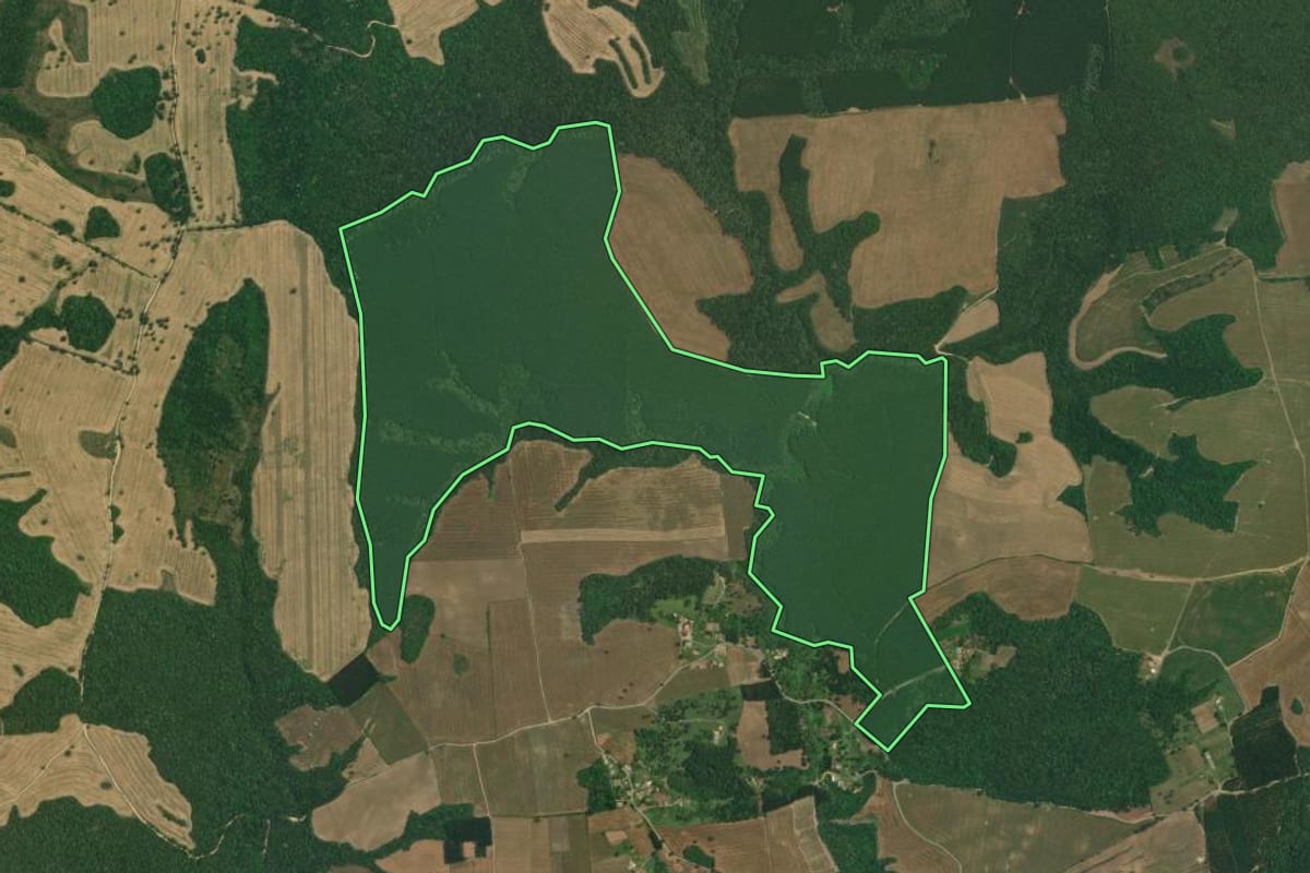 Imagem de satélite do imóvel rural em Lapa (PR), com o contorno declarado no CAR desenhado por cima.