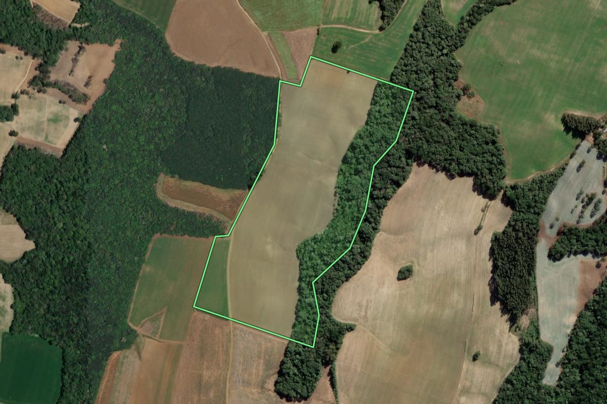 Imagem de satélite do imóvel rural em Lapa (PR), com o contorno declarado no CAR desenhado por cima.