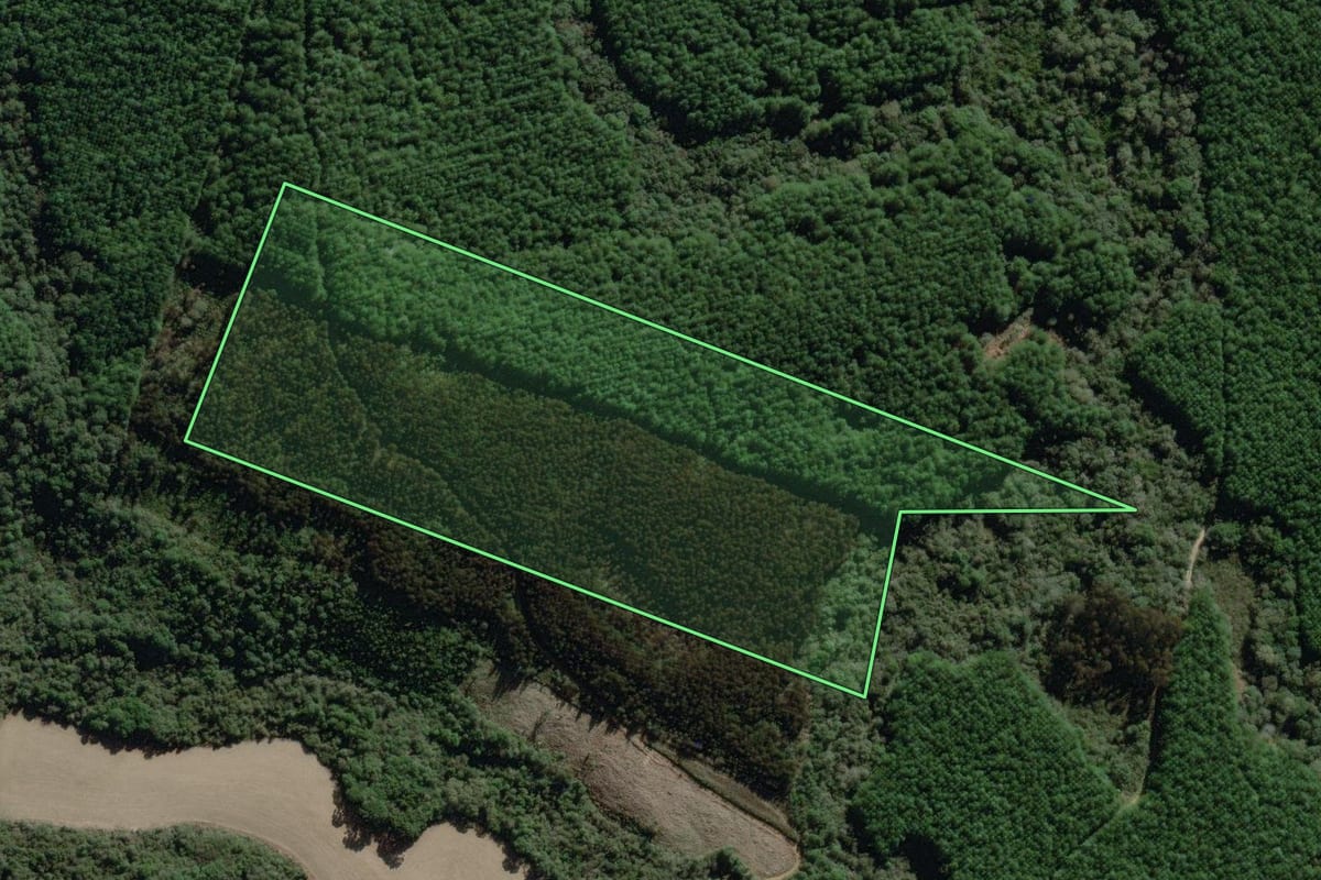 Imagem de satélite do imóvel rural em Lapa (PR), com o contorno declarado no CAR desenhado por cima.