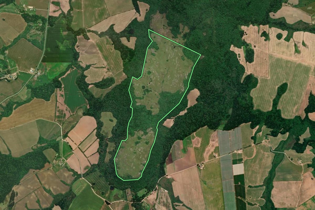 Imagem de satélite do imóvel rural em Lapa (PR), com o contorno declarado no CAR desenhado por cima.