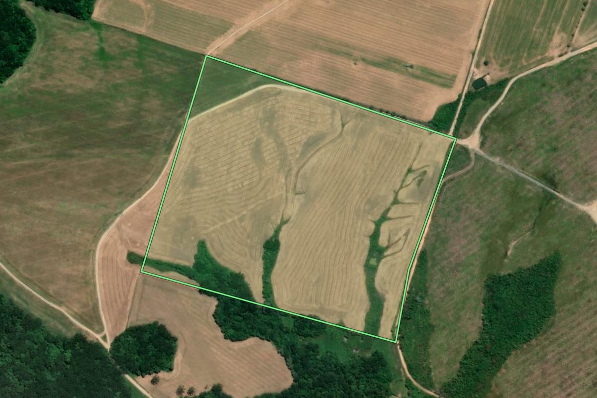 Imagem de satélite do imóvel rural em Lapa (PR), com o contorno declarado no CAR desenhado por cima.