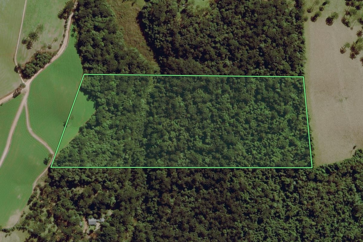 Imagem de satélite do imóvel rural em Lapa (PR), com o contorno declarado no CAR desenhado por cima.
