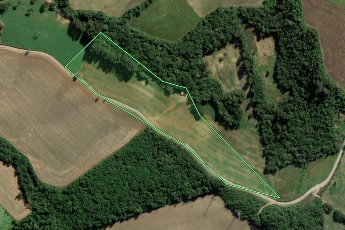 Imagem de satélite do imóvel rural em Lapa (PR), com o contorno declarado no CAR desenhado por cima.