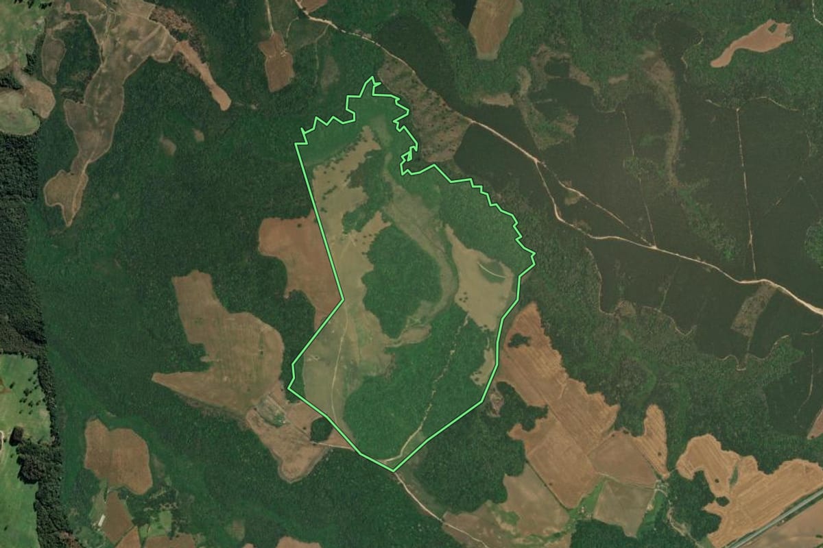 Imagem de satélite do imóvel rural em Lapa (PR), com o contorno declarado no CAR desenhado por cima.