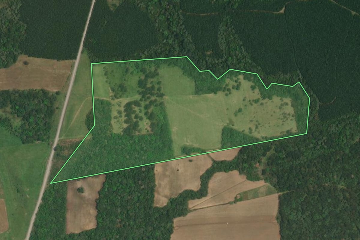 Imagem de satélite do imóvel rural em Lapa (PR), com o contorno declarado no CAR desenhado por cima.