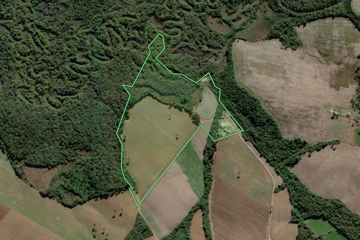 Imagem de satélite do imóvel rural em Lapa (PR), com o contorno declarado no CAR desenhado por cima.