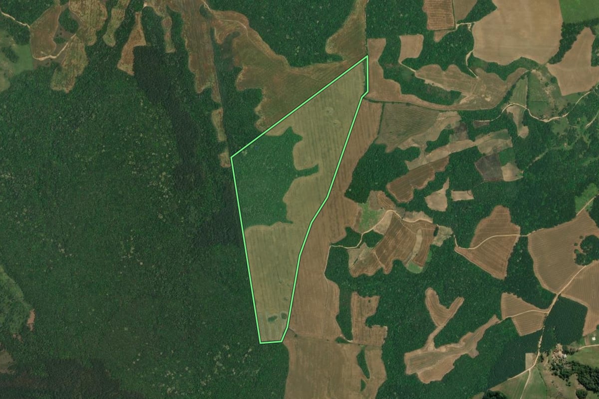 Imagem de satélite do imóvel rural em Lapa (PR), com o contorno declarado no CAR desenhado por cima.
