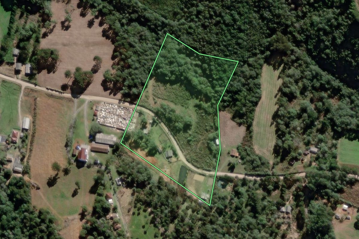 Imagem de satélite do imóvel rural em Lapa (PR), com o contorno declarado no CAR desenhado por cima.