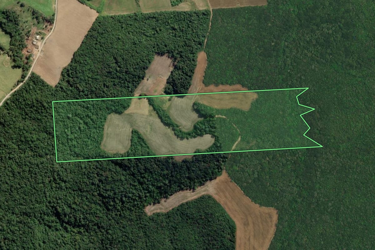 Imagem de satélite do imóvel rural em Lapa (PR), com o contorno declarado no CAR desenhado por cima.