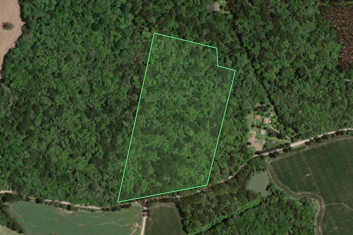 Imagem de satélite do imóvel rural em Lapa (PR), com o contorno declarado no CAR desenhado por cima.