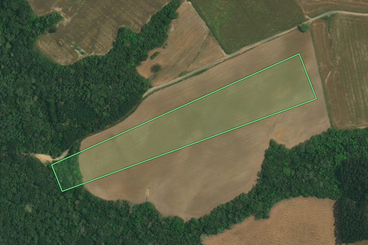 Imagem de satélite do imóvel rural em Lapa (PR), com o contorno declarado no CAR desenhado por cima.