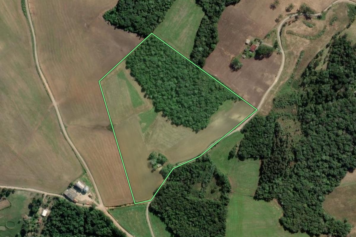 Imagem de satélite do imóvel rural em Lapa (PR), com o contorno declarado no CAR desenhado por cima.
